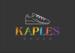 KAPLES SHOES