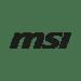 MSI Store